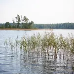 Puhkemaja Kimalase Metsamaja Misso