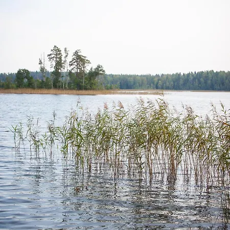 Dom wakacyjny Kimalase Metsamaja Misso