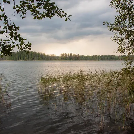 Kimalase Metsamaja *