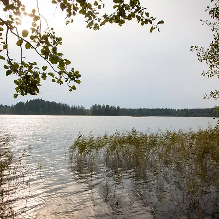 Kimalase Metsamaja *