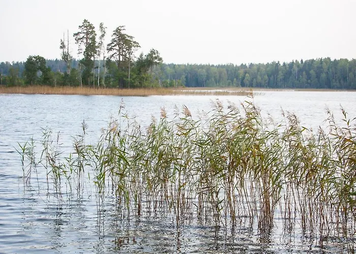 Prázdninový dům Kimalase Metsamaja Misso