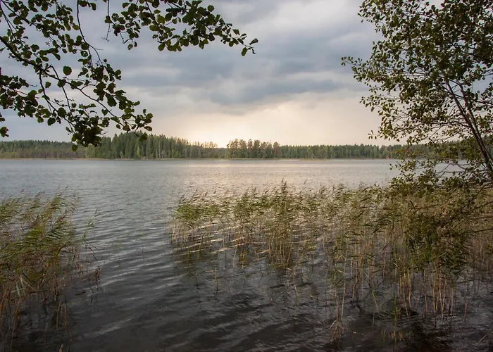 Kimalase Metsamaja *