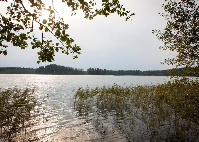 Kimalase Metsamaja *